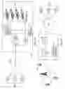 Fig. 02 - Telephony annotation services