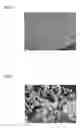 Fig. 02 - Metal-oxide composite material and method of producing the same