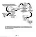 Fig. 02 - Chimeric viral vectors for gene therapy