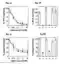 Fig. 02 - Method for preventing viral infection