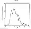 Fig. 06 - Chondroitin synthase and nucleic acid encoding the enzyme