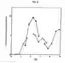 Fig. 07 - Chondroitin synthase and nucleic acid encoding the enzyme