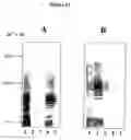 Fig. 13 - Compositions and methods for eliciting an immune response to gram-negative bacterial infections