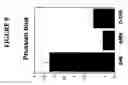 Fig. 09 - Antibodies directed against amyloid-beta peptide