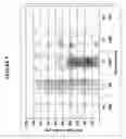 Fig. 10 - Antibodies directed against amyloid-beta peptide