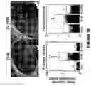 Fig. 11 - Antibodies directed against amyloid-beta peptide