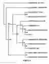 Fig. 09 - Stimulation of microbial dechlorination of polychorinated biphenyls with halogenated ethenes