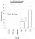 Fig. 03 - Human bone accessory cells