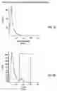 Fig. 04 - Human bone accessory cells