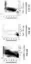 Fig. 08 - Human bone accessory cells