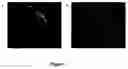Fig. 02 - Stem cell and progenitor cell expansion