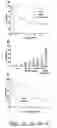 Fig. 02 - Method of screening cell death modulators