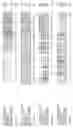 Fig. 100 - Nucleotide sequences and polypeptides encoded thereby useful for modifying plant characteristics and phenotypes