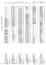Fig. 145 - Nucleotide sequences and polypeptides encoded thereby useful for modifying plant characteristics and phenotypes