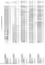 Fig. 22 - Nucleotide sequences and polypeptides encoded thereby useful for modifying plant characteristics and phenotypes