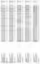 Fig. 258 - Nucleotide sequences and polypeptides encoded thereby useful for modifying plant characteristics and phenotypes