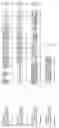 Fig. 458 - Nucleotide sequences and polypeptides encoded thereby useful for modifying plant characteristics and phenotypes