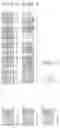 Fig. 484 - Nucleotide sequences and polypeptides encoded thereby useful for modifying plant characteristics and phenotypes
