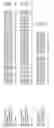 Fig. 552 - Nucleotide sequences and polypeptides encoded thereby useful for modifying plant characteristics and phenotypes