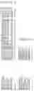 Fig. 82 - Nucleotide sequences and polypeptides encoded thereby useful for modifying plant characteristics and phenotypes
