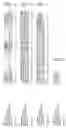Fig. 98 - Nucleotide sequences and polypeptides encoded thereby useful for modifying plant characteristics and phenotypes