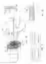 Fig. 12 - Diffraction grating-based encoded element having a substance disposed thereon