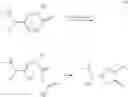 Fig. 13 - Method of analyzing c-terminal amino acid sequence of peptide