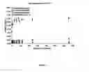 Fig. 08 - Preformulation analysis and optimization