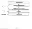 Fig. 10 - Preformulation analysis and optimization