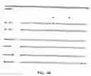 Fig. 03 - Method of identification and quantification of proteins, isoforms of the angiotensin I converting enzyme