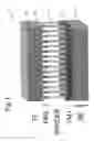 Fig. 02 - Spintronic device having a carbon nanotube array-based spacer layer and method of forming same