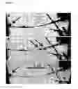 Fig. 03 - Nanoscale mass conveyors