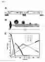 Fig. 05 - Nanoscale mass conveyors