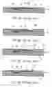 Fig. 04 - Method for forming a redistribution layer in a wafer structure