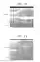 Fig. 06 - Methods of forming fuses using selective etching of capping layers