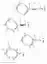 Fig. 03 - Ornamental balloon