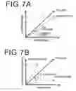 Fig. 07 - Fluorescence image display apparatus