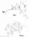 Fig. 02 - Variable speed drill
