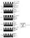 Fig. 02 - Method of forming a via structure dual damascene structure for the manufacture of semiconductor integrated circuit devices