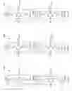 Fig. 08 - Integrated nanotube and field effect switching device