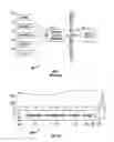 Fig. 02 - Wireless virtual docking