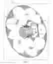 Fig. 02 - LED bulb