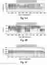 Fig. 06 - METHODS AND SYSTEMS FOR COMPRESSING SONIC LOG DATA