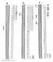 Fig. 07 - Modified antibodies to prostate-specific membrane antigen and uses thereof