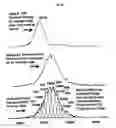 Fig. 41 - Modified antibodies to prostate-specific membrane antigen and uses thereof