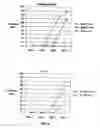 Fig. 07 - Production of vaccines