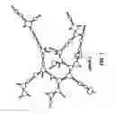 Fig. 02 - Methods of reducing an immune response