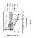 Fig. 07 - Methods of reducing an immune response