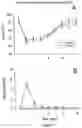 Fig. 06 - Methods for the treatment of tinnitus induced by cochlear excitotoxicity