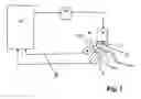 Fig. 02 - Bi-directional scanning and imaging with scanning compensation